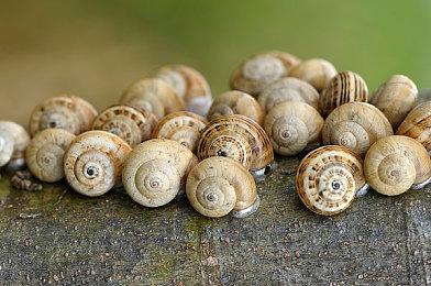 《夜勤人》续作《夜勤人2：无尽宝库》Steam页面上线 明年发售