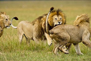 回合制卡牌对战游戏《疯狂之门：重新开张》现已在新品节推出试玩Demo